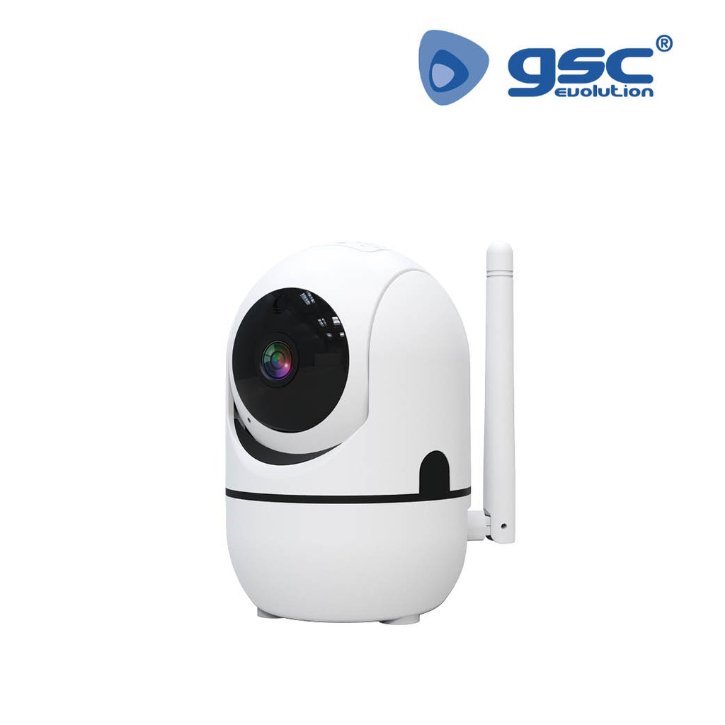 camara vigilancia