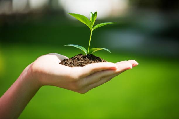 respeto al planeta, ecología Garsaco respeto planeta