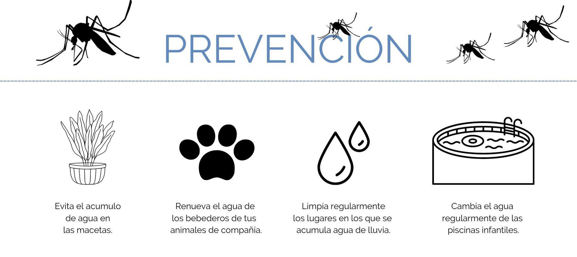 Infografía prevención mosquitos