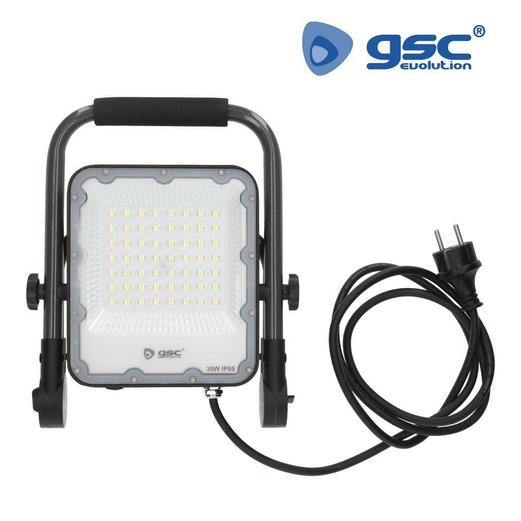 Proyector aluminio con soporte móvil 30W 6500K IP65 Gris