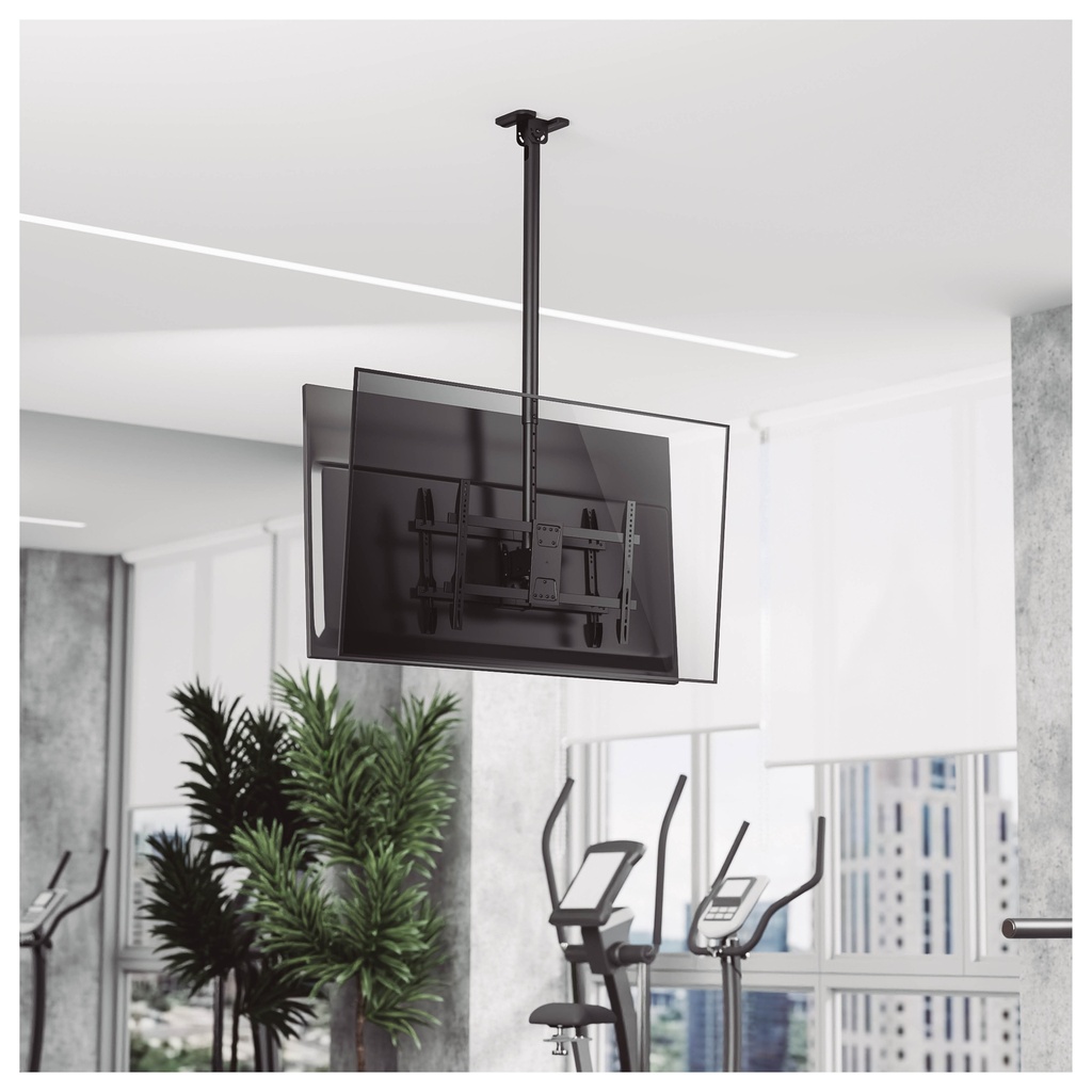 Soporte techo giratorio con doble pantalla para TV 43" - 86"
