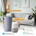 Bombilla LED estándar inteligente vía wifi y bluetooth 11W E27 RGB + 2700-6500K Regulable