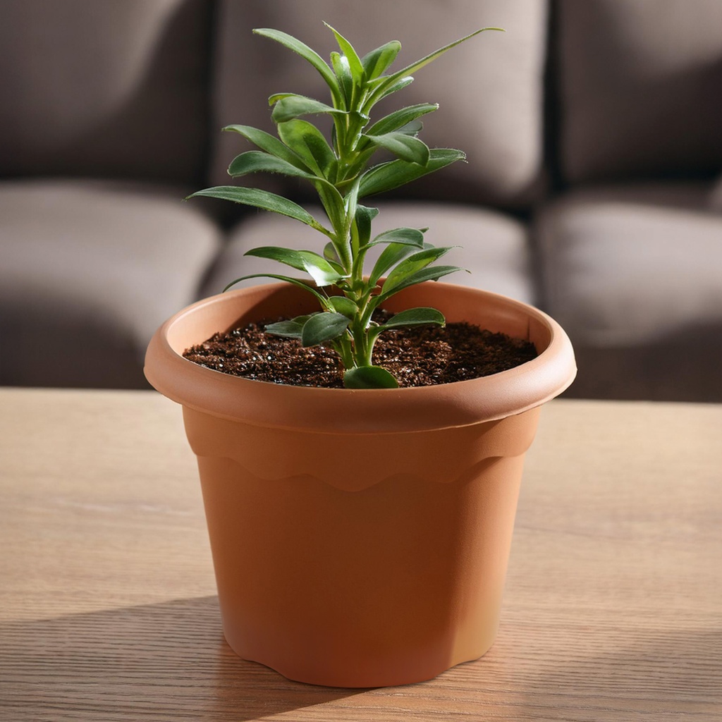 Maceta redonda Terra Ø260mm Marrón