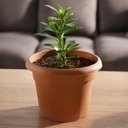 Maceta redonda Terra Ø460mm Marrón