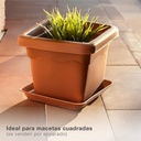 Plato para maceta cuadrada Terra 260mm Marrón