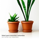 Plato para maceta redonda Terra Ø100mm Marrón