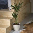 Maceta Doric Ø180mm Blanco