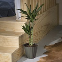 Maceta Doric Ø320mm Gris antracita