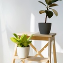 Cuenco Tes Ø320mm Blanco