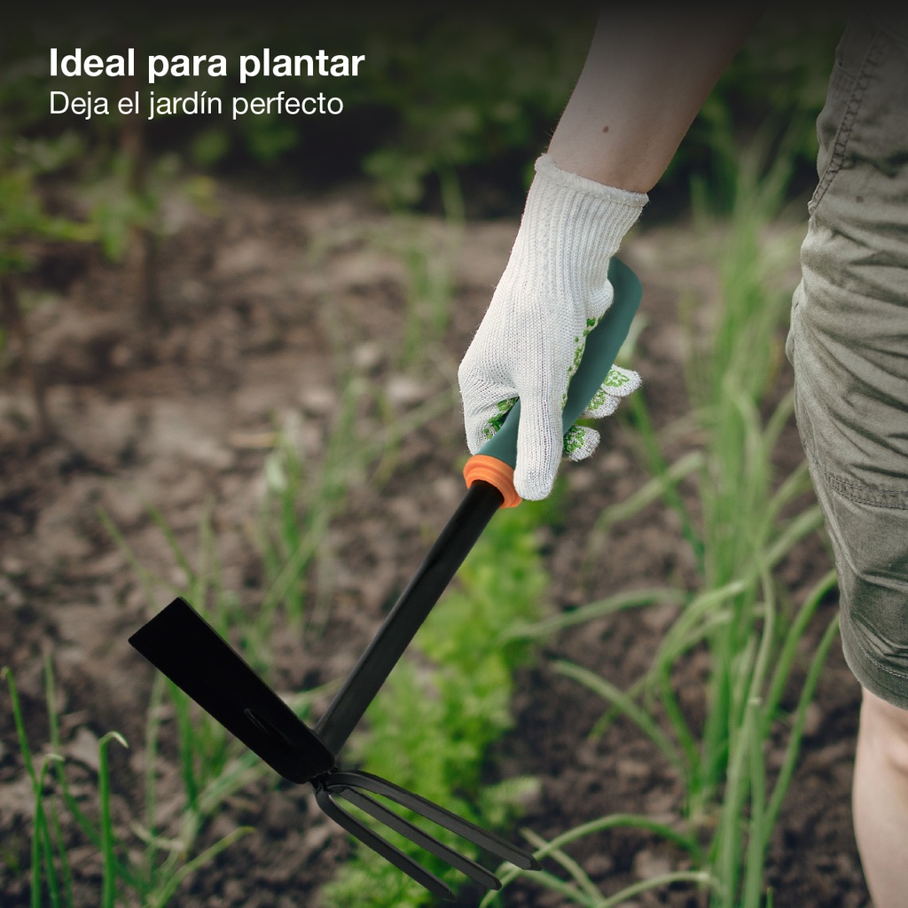 Azada y horquilla de jardinería