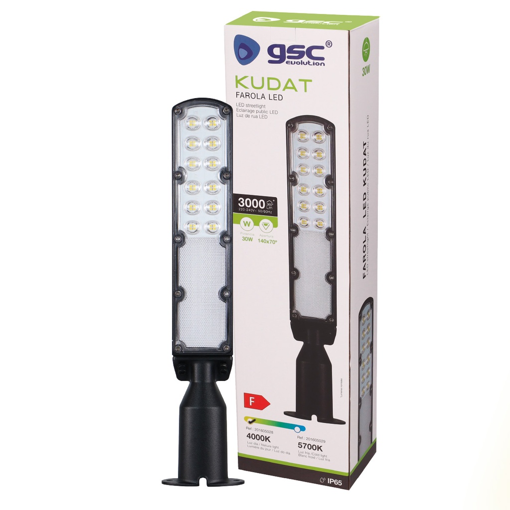 Farola LED Kudat 30W 4000K IP65