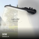 Farola LED Kudat 30W 4000K IP65