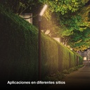 Farola LED Pemali 50W 4000K IP65 - Pro Line