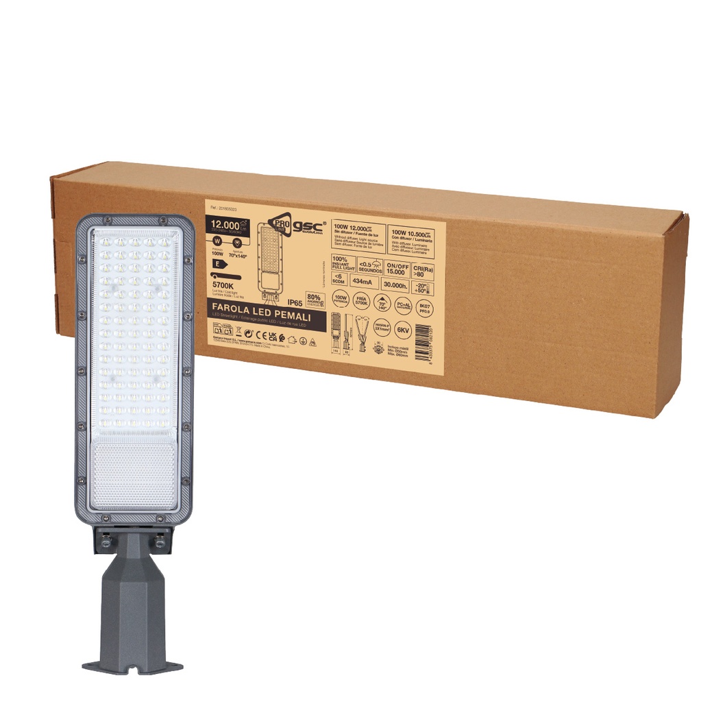 Farola LED Pemali 100W 5700K IP65 - Pro Line