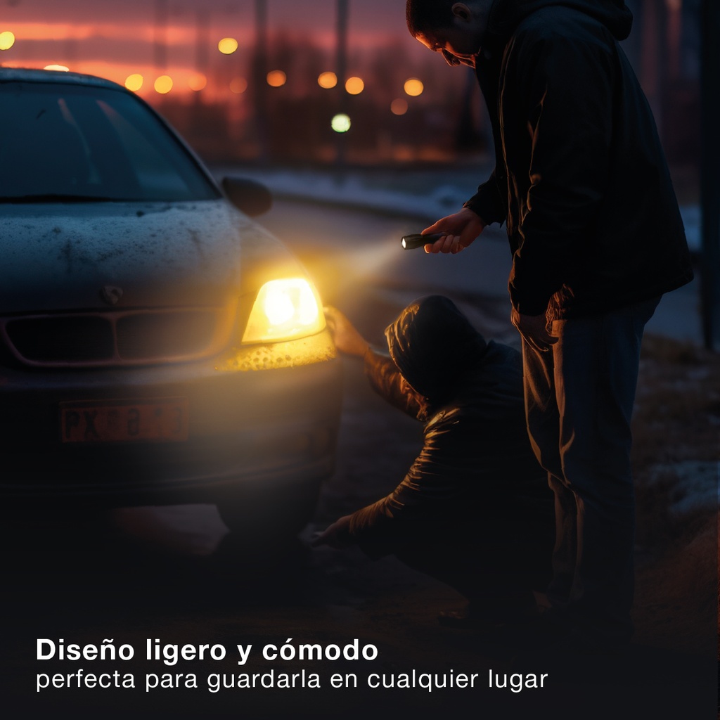 Linterna LED de mano 10W - 12uds caja exp