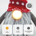 Gnomo de navidad LED sentado Hagin 26cm 2xCR2032 Rojo y gris