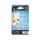 Lámpara Filamento LED Vela 4W E14 6500K - 12u c.exp.