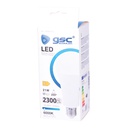 Lámpara LED estándar A70 21W E27 6000K