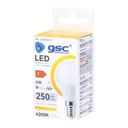 Lámpara LED esférica 3W E14 4200K