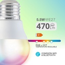 Lámpara LED esférica inteligente 5,5W E27 RGB + CTT regulable