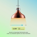 Lámpara LED esférica inteligente 5,5W E27 RGB + CTT regulable