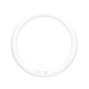 Tubo circular LED Lisala 15W G10q 6500K