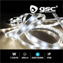 Rollo 5M LED SMD5050 (7.2W) 6000K-6500K IP68 24V