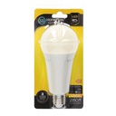 Bombilla LED estándar 21W E27 4200K - 6u caja exp