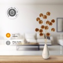 Rama decorativa LED de dientes de león dorados 0,75M Luz cálida