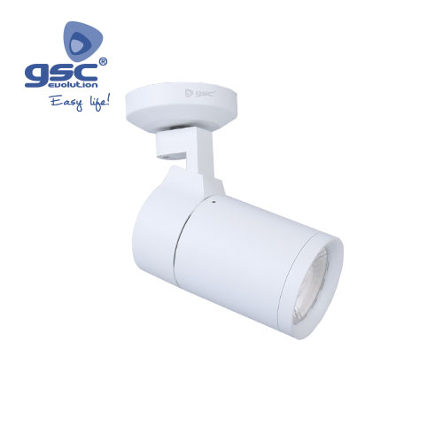 Foco superficie Artis 30W 3000K Blanco