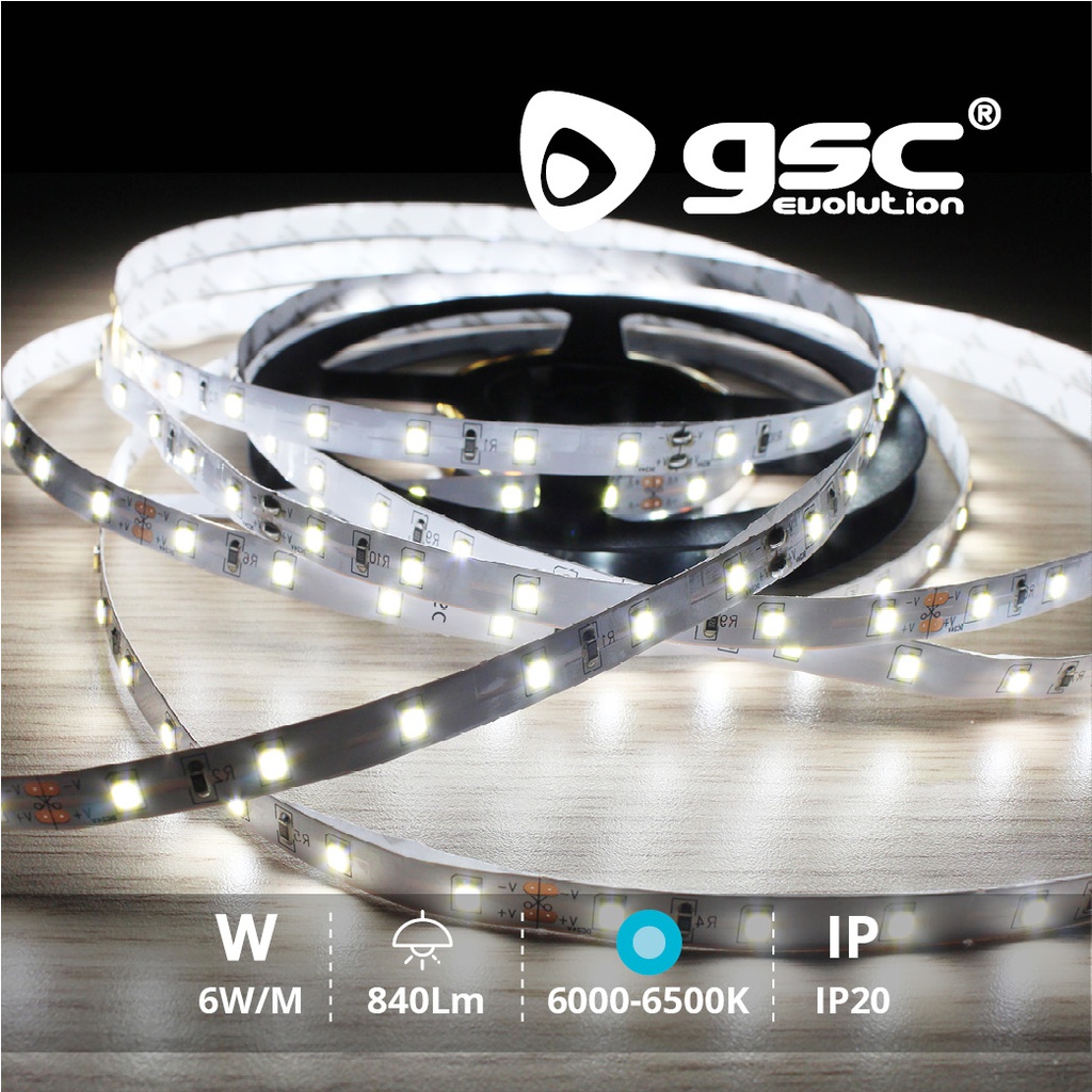 Rouleau 5 M LED SMD2835 (6 W) 6000K-6500K IP20 24 V