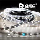5M 6W LED strip SMD2835 6000K-6500K IP20 24V