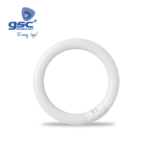 Tubo fluorescente circular T9 22W G10q 6400K