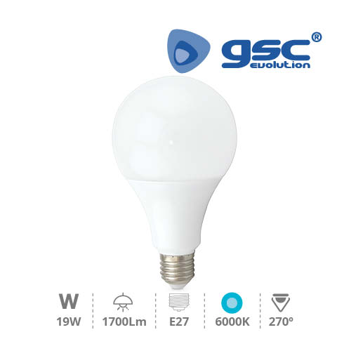 Lámpara Globo LED 19W E27 6000K
