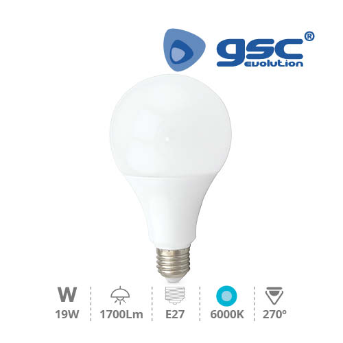 Lampe globe LED 19 W E27 6000K