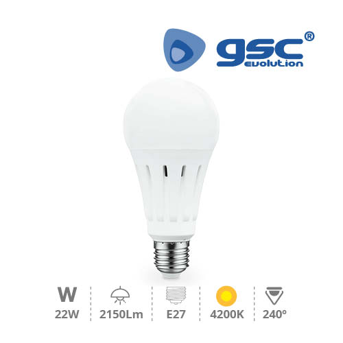 Lâmpada Padrão LED A70 22 W E27 4200 K