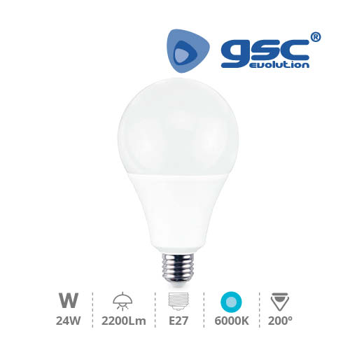 Lampe globe LED 24 W E27 6000K