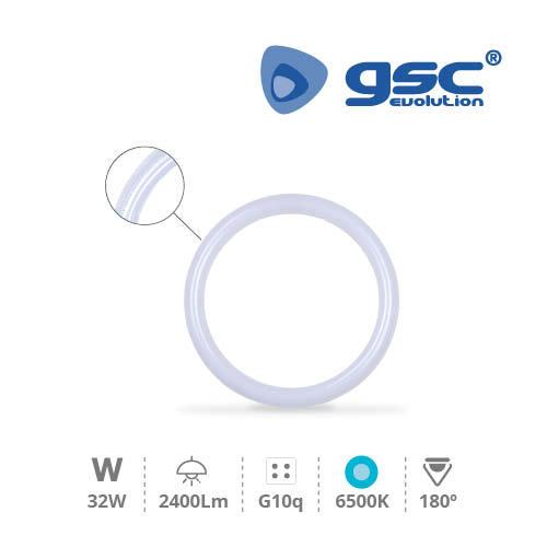 Circular T9 LED tube 32W G10q 6500K