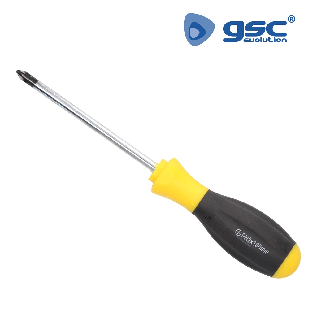 Philips screwdriver Chrome vanadium PH2x100mm