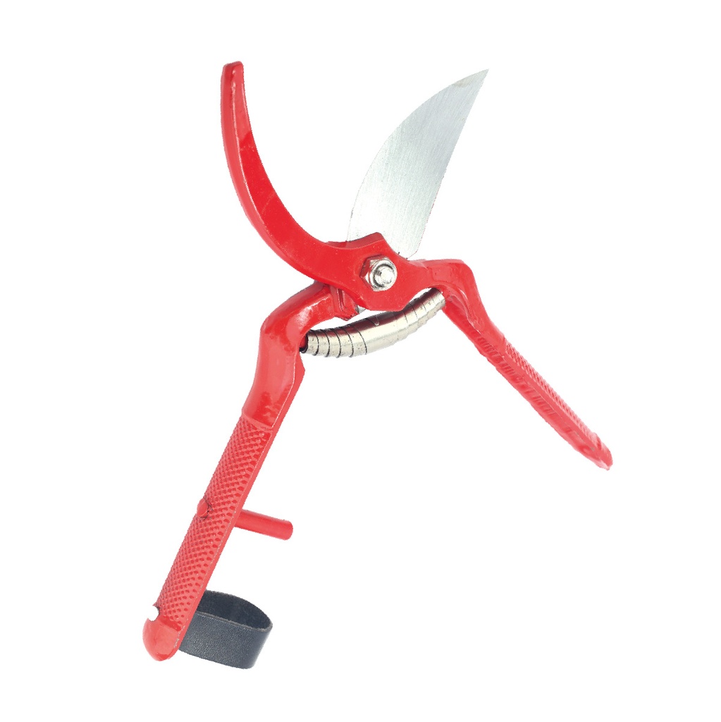Garden shears - Blister