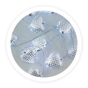 [005204472] Corazones plateados 1,5M 2xAA 6000-10000K
