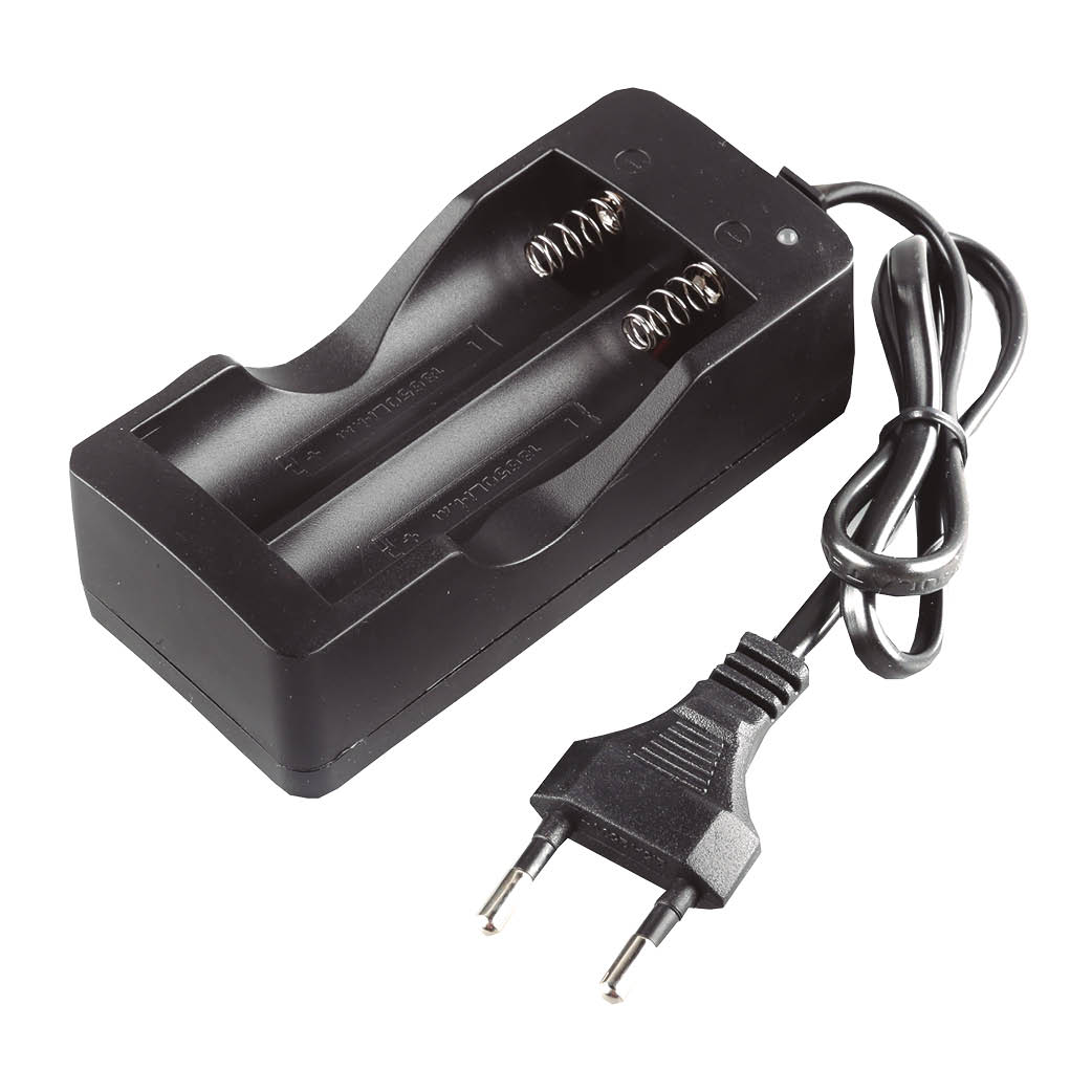 Charger for 2 18650 recharcageable batteries