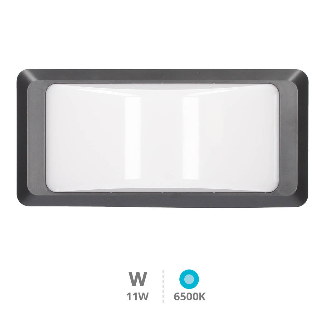 Anthe LED wall sconce 11W 6500K IP65 Anthracite gray