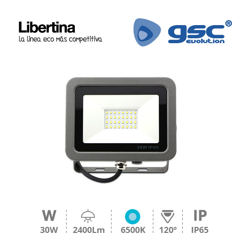 Proyector LED 30W 6500K IP65 Gris - Libertina