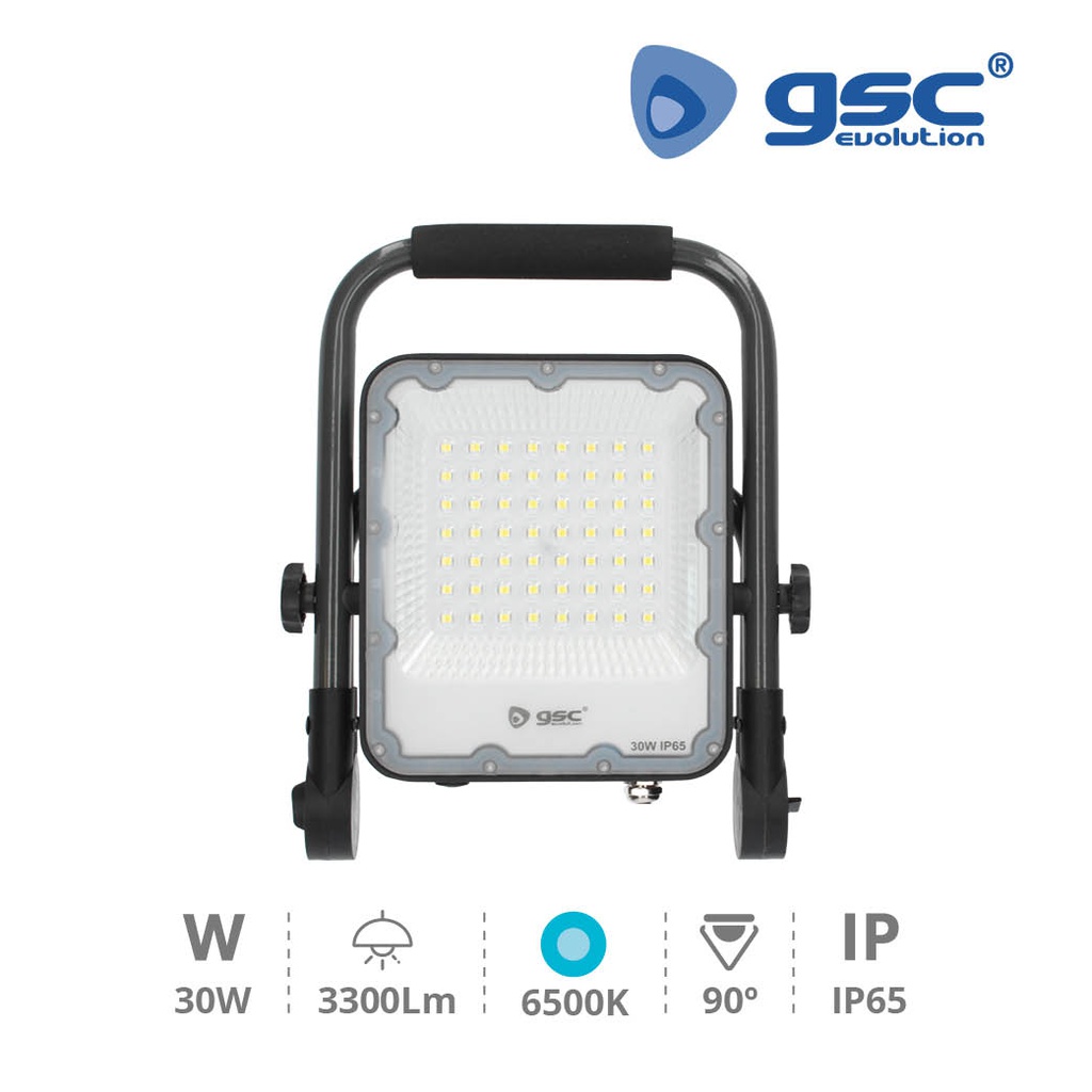 Proyector aluminio con soporte móvil 30W 6500K IP65 Gris