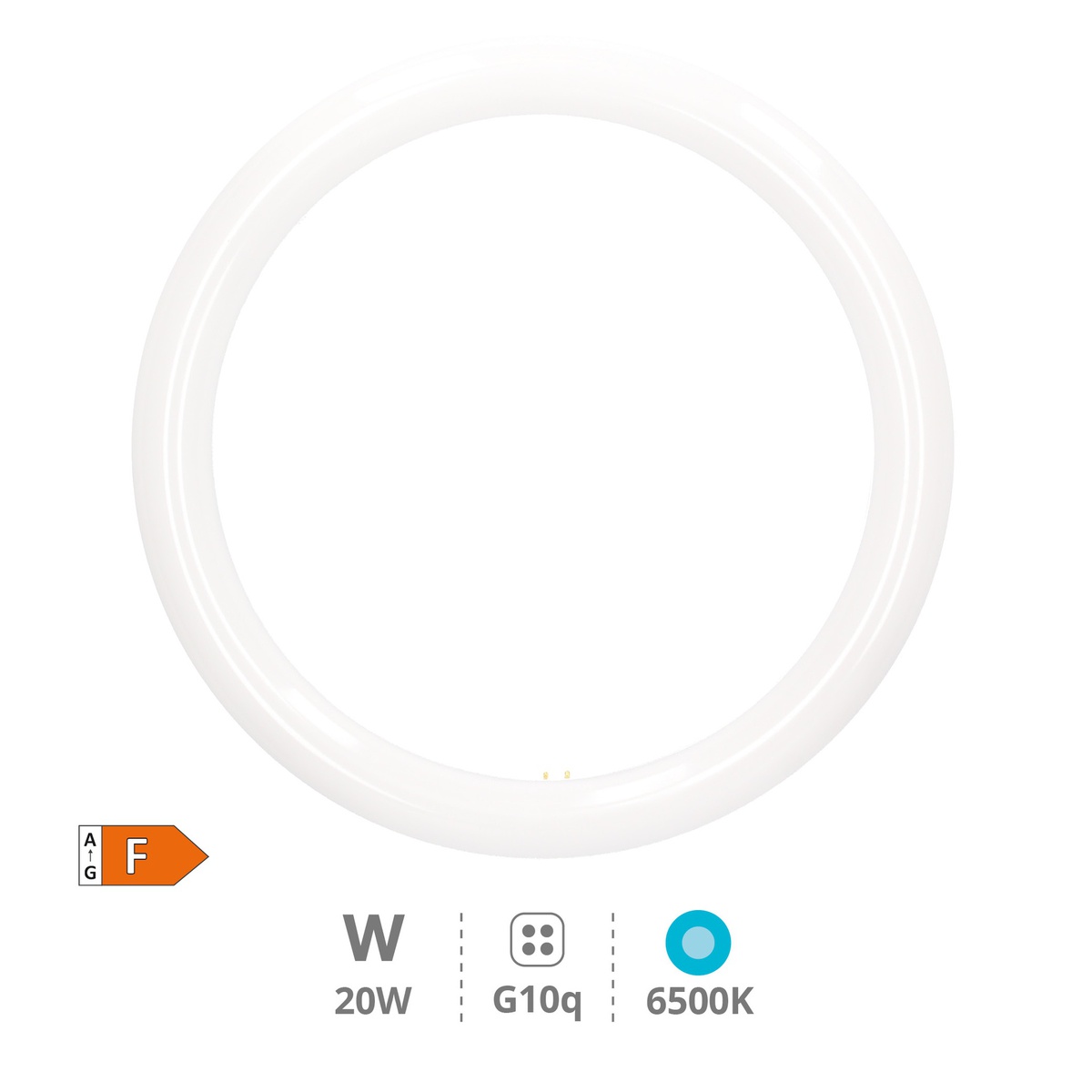 Lisala Circular T9 LED tube 20W G10q 6500K