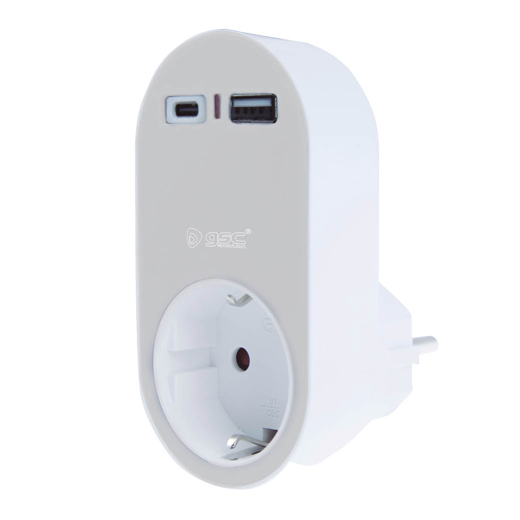 Adapter with USB and Type C