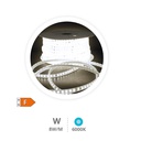 Rouleau 50 M bande LED 8 W/M 6000-6500K IP65 230 V