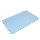 [404000002] Quick drying blue diatomite bathroom carpet