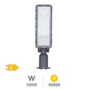 Candeeiro LED de rua Pemali 100W 4000K IP65 - Pro Line